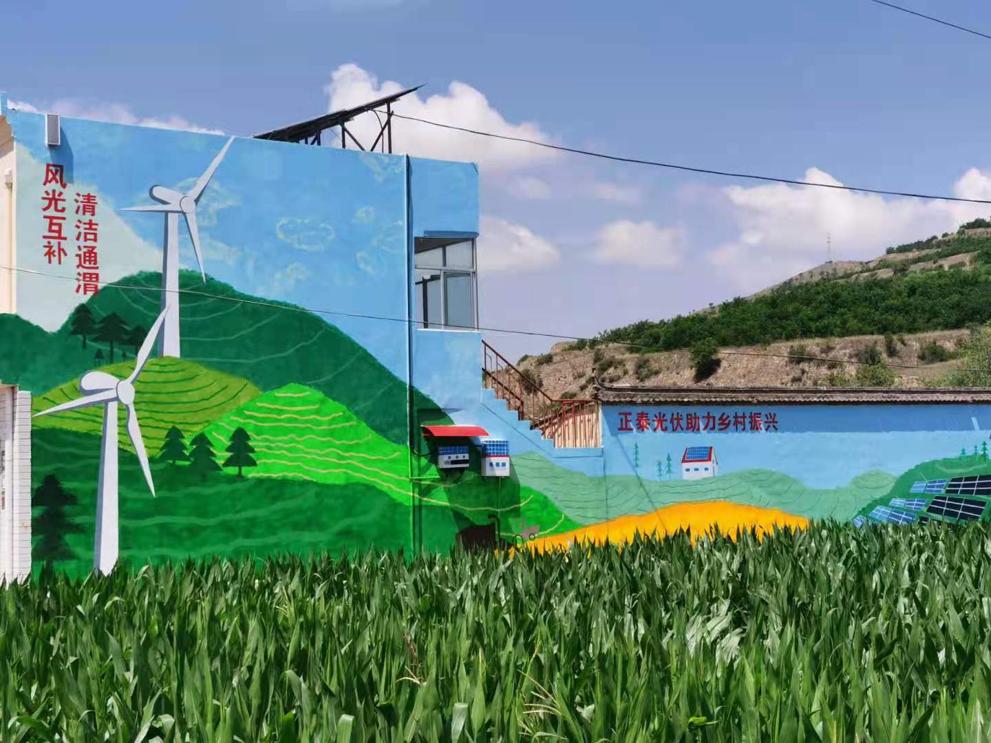 1627520037273926.jpg 1627520037273926.jpg